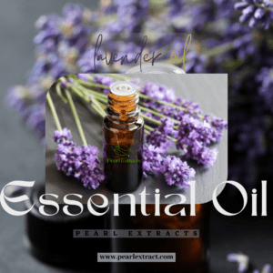 Lavender Oil